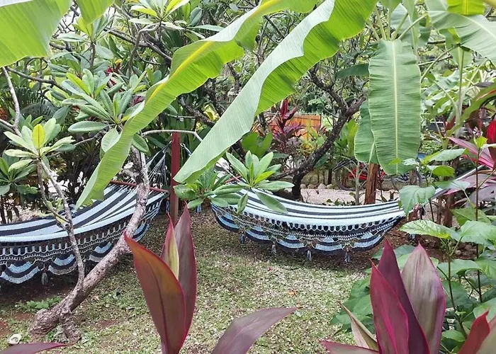Aloha Surf - Kahala Hui #3